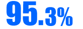 95.3%